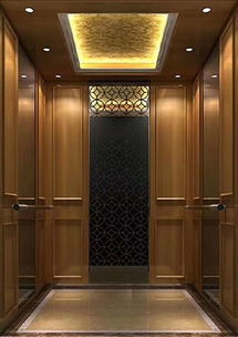 一站式简易电梯生产厂家服务商 为家用电梯制造注入便捷与安心